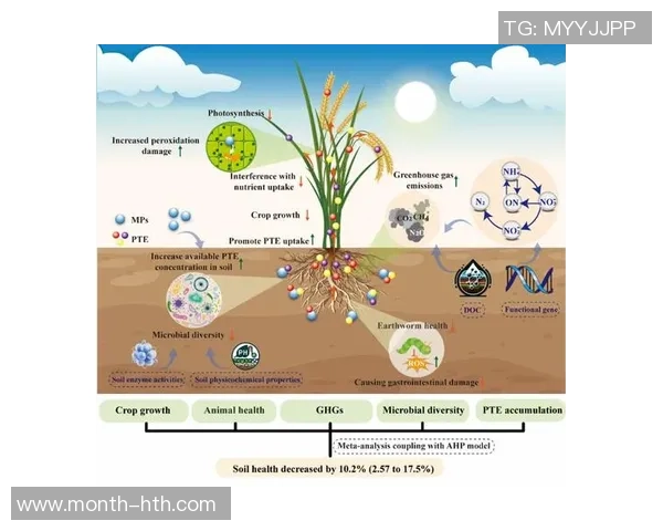 足球运动的历史发展与全球影响力的全面探讨